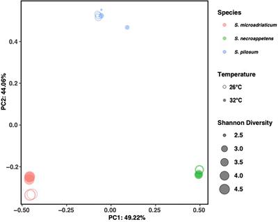 Thermal Stress Has Minimal Effects on Bacterial Communities of Thermotolerant Symbiodinium Cultures